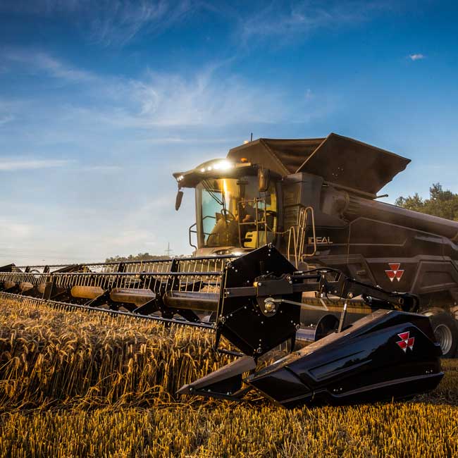 Harvesting.jpg